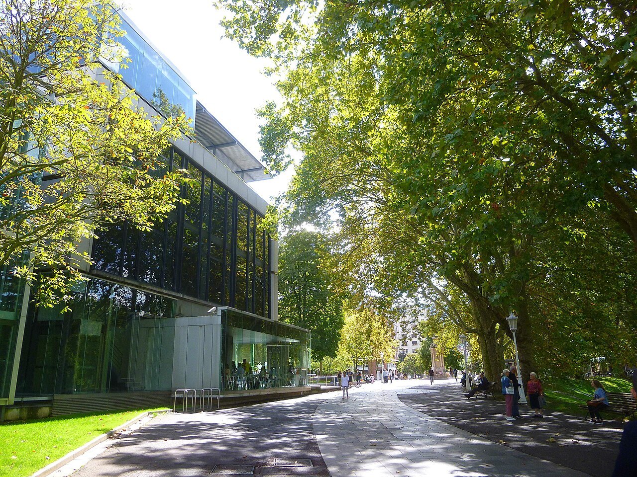 The glass and metal front of the museum's modern wing beside the shady avenue