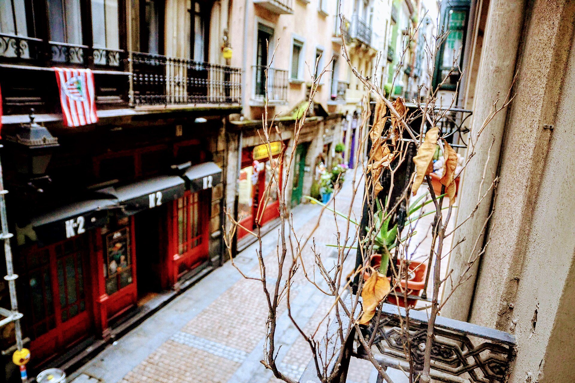 Calle Somera, one of the Seven Streets, its bars painted red and green