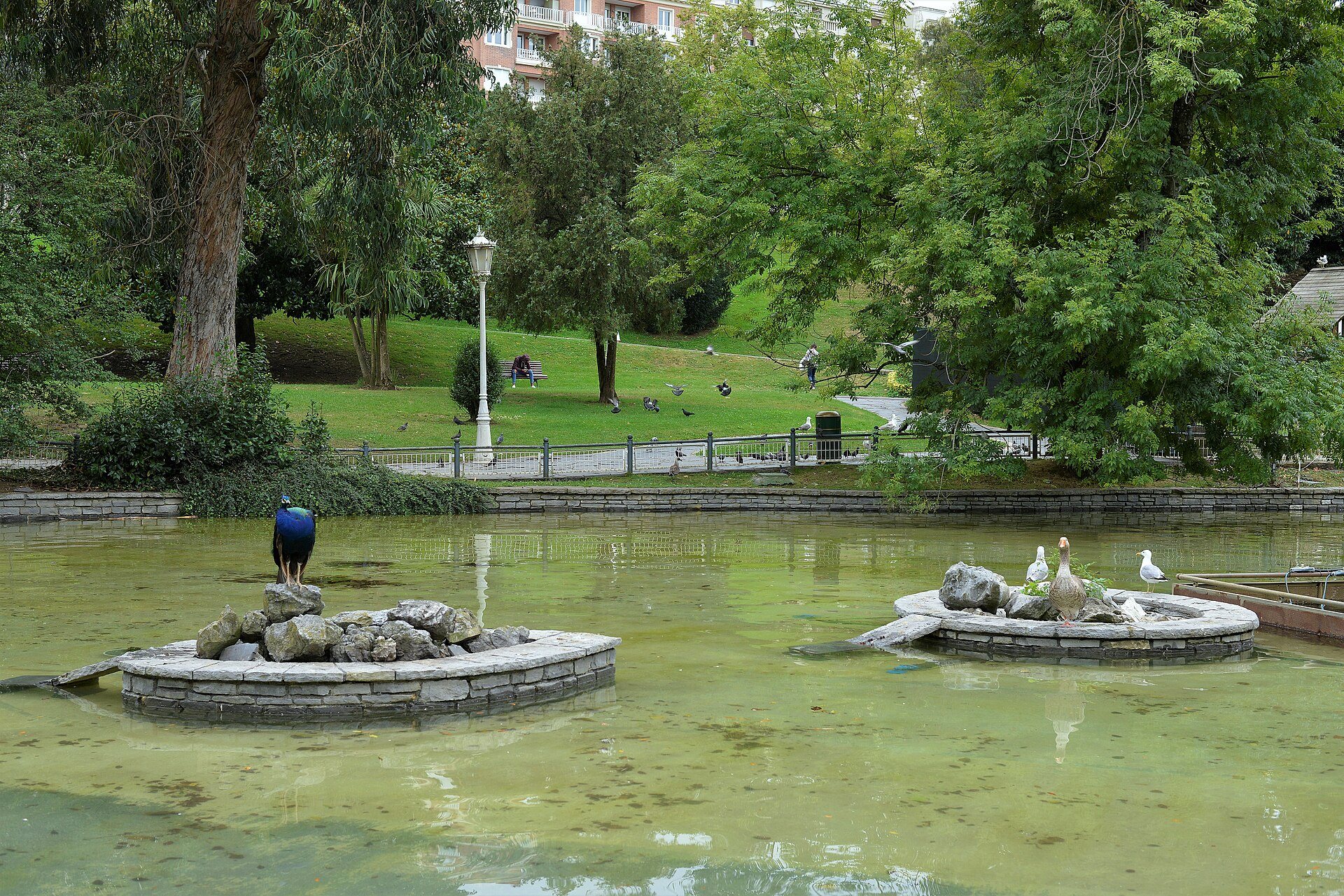 The duck pond of Doña Casilda Park, birds on its little islands
