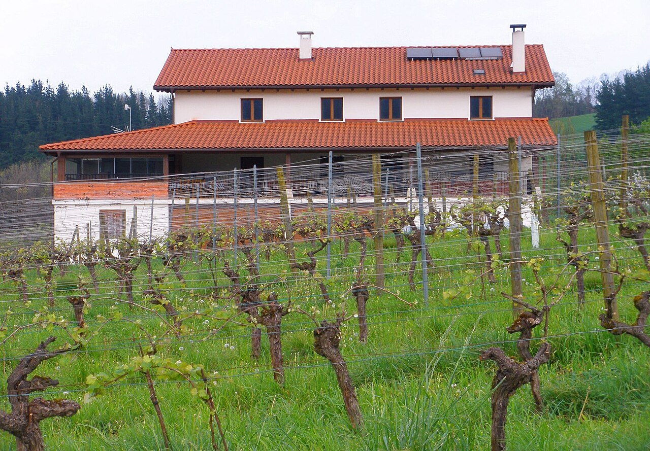 A txakoli winery above its vineyard in the hills of Biscay