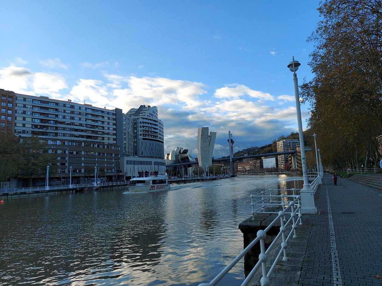 La Salve bridge and the Guggenheim tower seen along the river