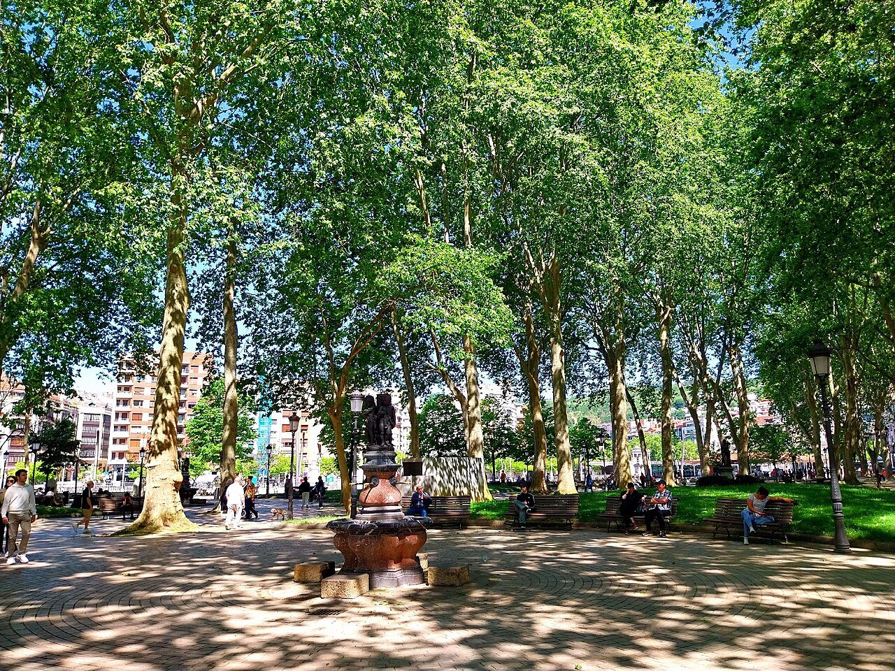 Plane trees shading the gardens of the Arenal in spring