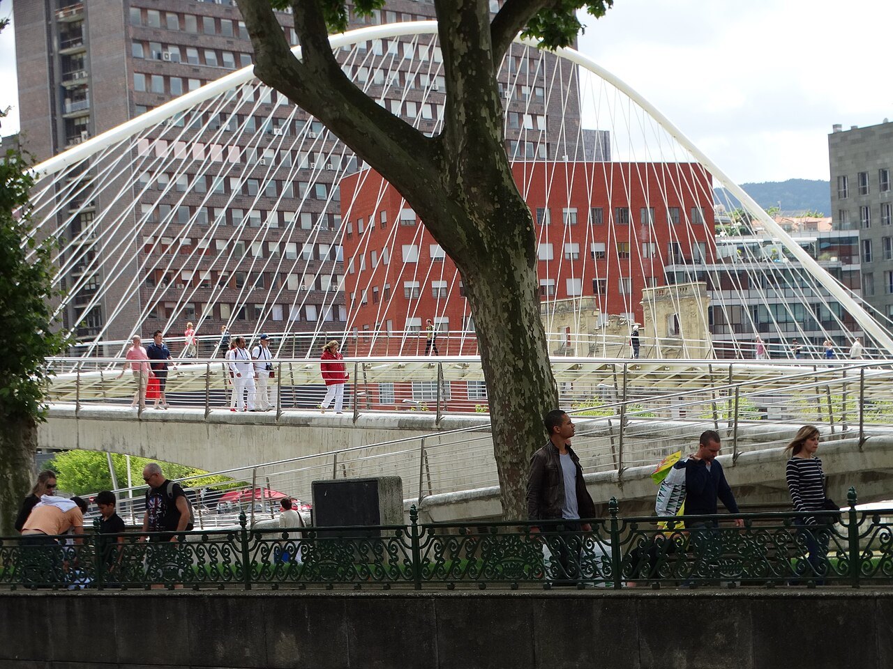 Zubizuri seen from the riverside walk beneath a plane tree